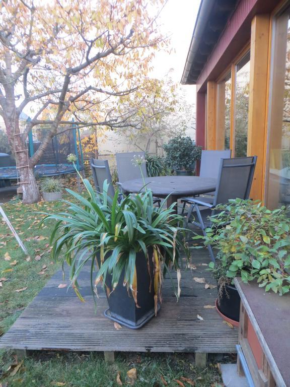 Gartenhaus Klotzsche Δρέσδη Εξωτερικό φωτογραφία