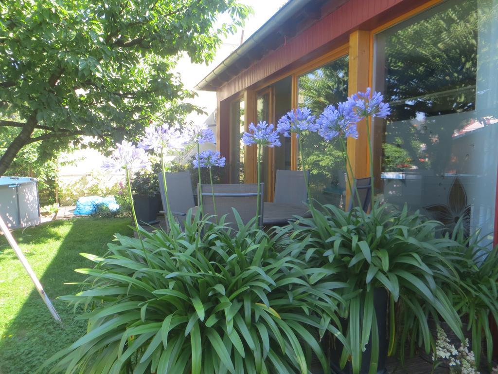 Gartenhaus Klotzsche Δρέσδη Εξωτερικό φωτογραφία
